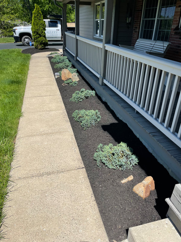 Residential_Landscaping_Service-1.jpeg